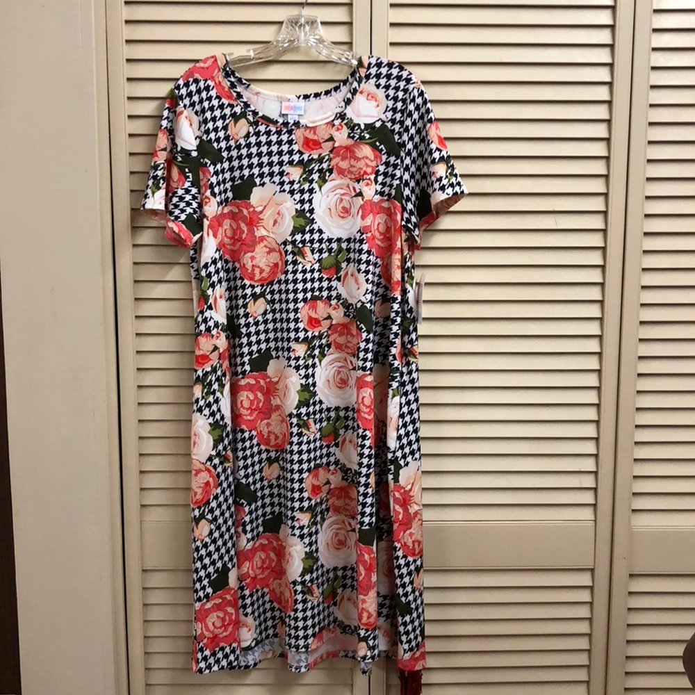 LulaRoe Jessie dress Size Large.